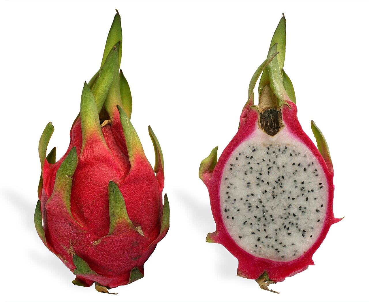 Buah Buah Naga