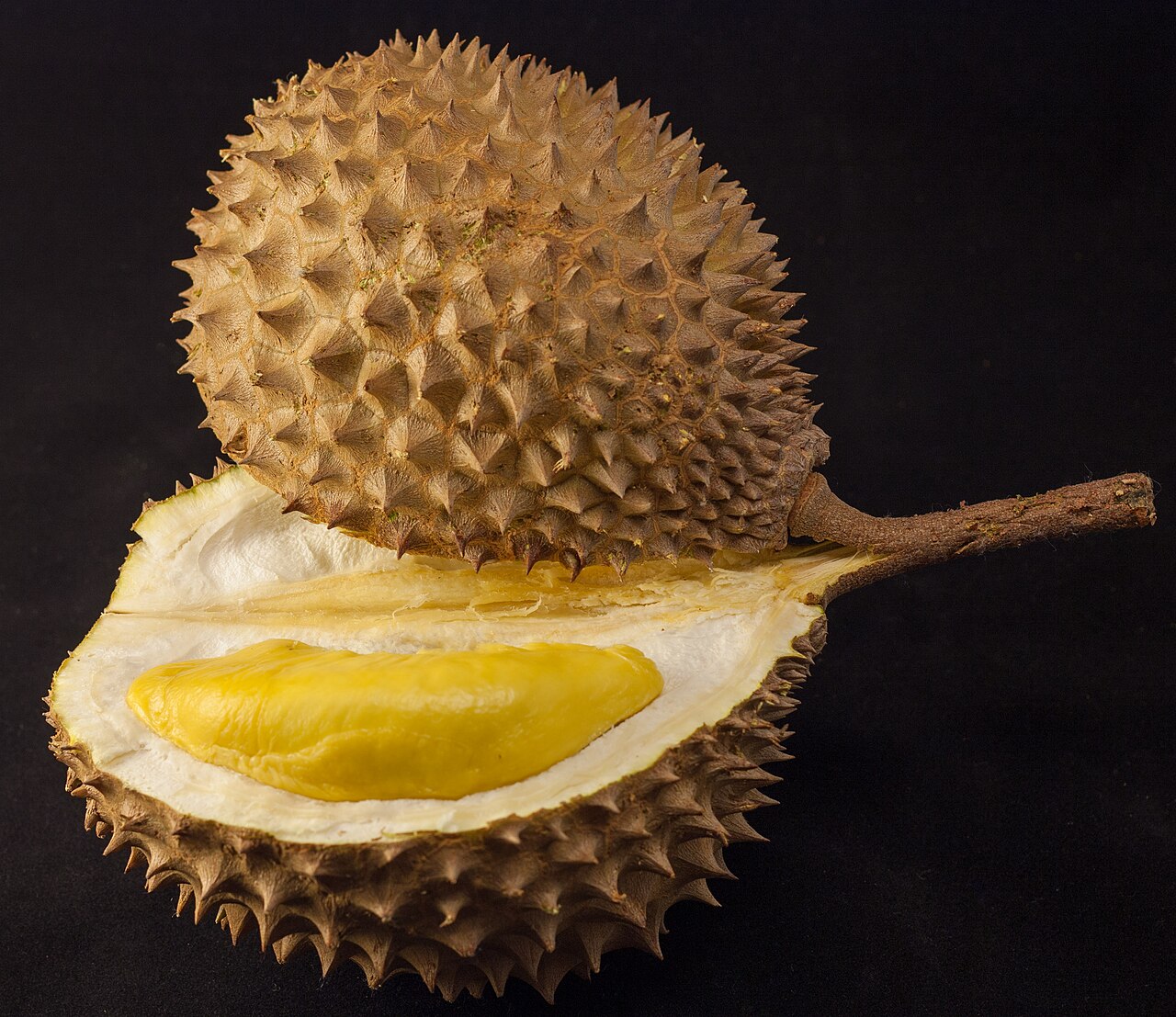 Buah Durian