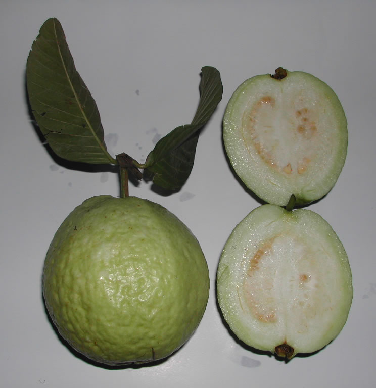 Buah Jambu Kristal
